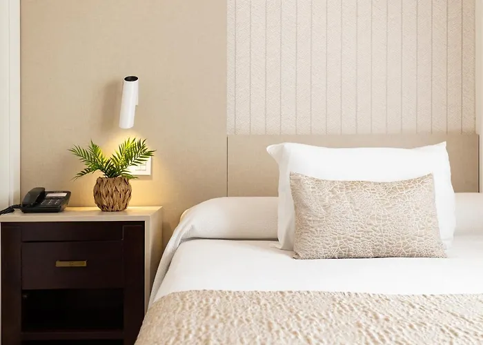 Hôtel accueillant les animaux: Hotel Plaza Del Castillo