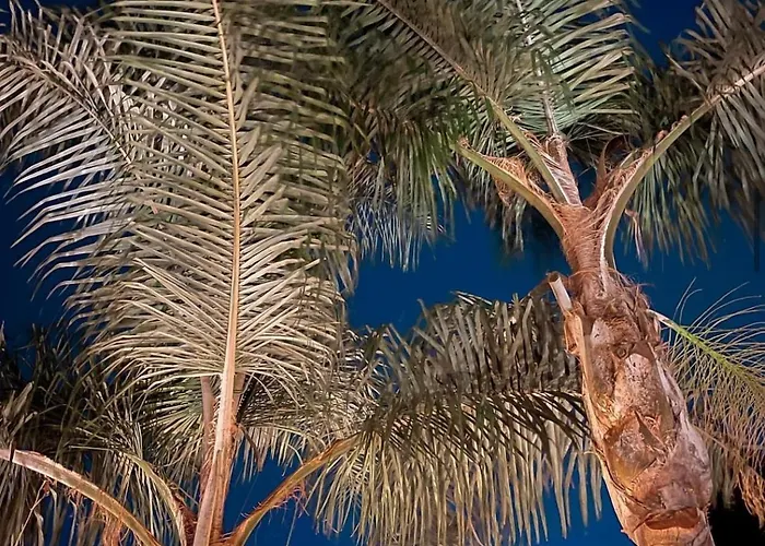 Luxury B&B Villa Tauro