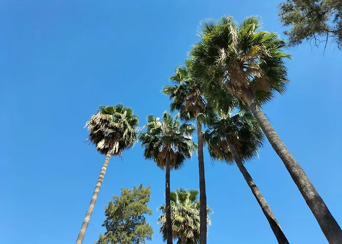 Albergo economico: Vas Málaga Ciudad